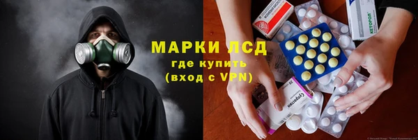 сатива Балахна