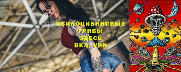 сатива Балахна