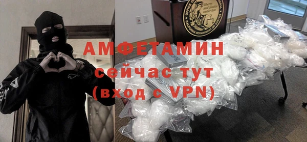 сатива Балахна
