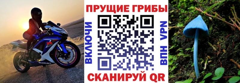 Псилоцибиновые грибы Psilocybe  MEGA рабочий сайт  Чернушка  закладка 