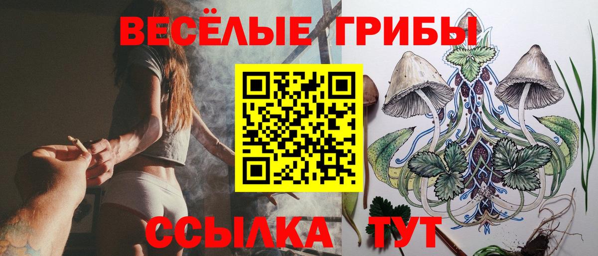 Чернушка  Псилоцибиновые грибы Magic Shrooms  Вход с VPN 