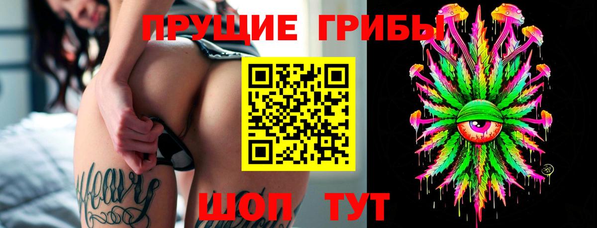 Псилоцибиновые грибы Psilocybe Чернушка